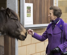 Princess Royal stroking a pony